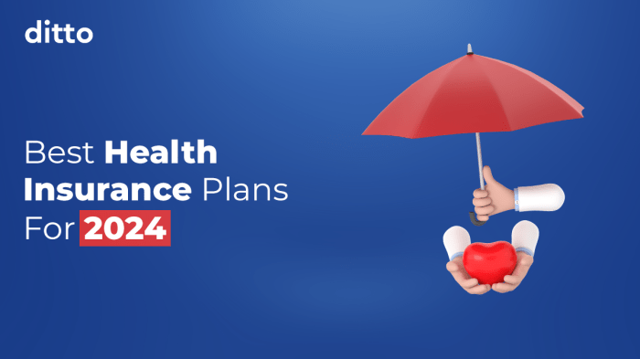 Health Insurance Plan Benefits | Ditto 2025